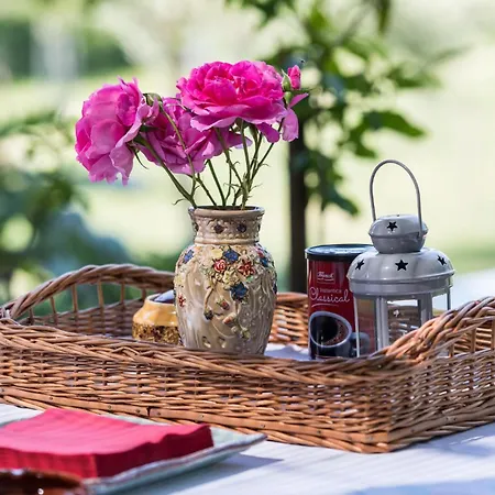 Amazing In Ostrobradic Sveti Anton (Krk)